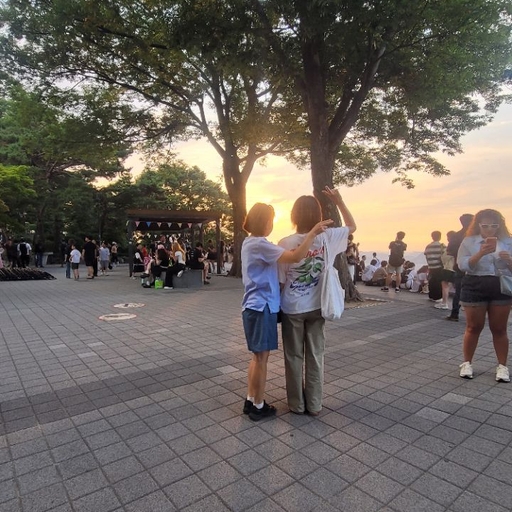 피드 이미지