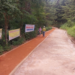 피드에 업로드 된 이미지