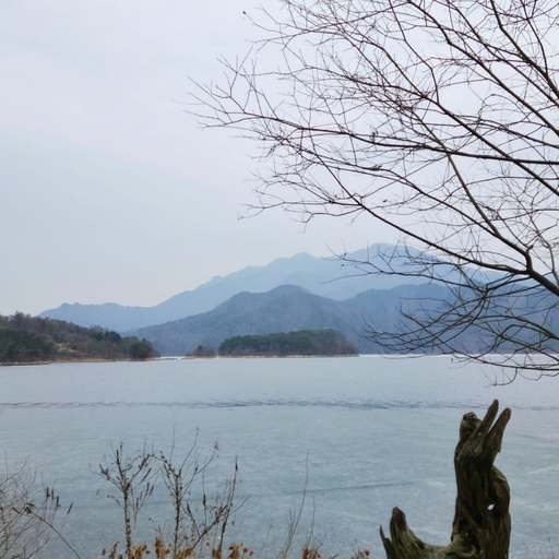 피드 이미지