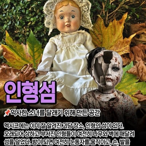 피드 이미지