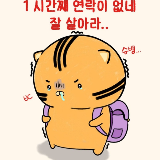피드 이미지