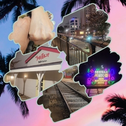 피드에 업로드 된 이미지