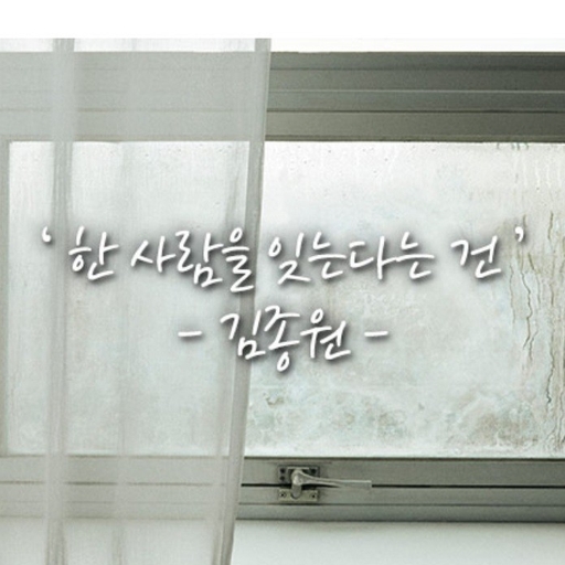 피드 이미지