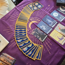 피드에 업로드 된 이미지