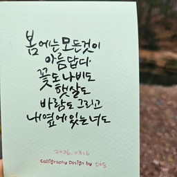 피드에 업로드 된 이미지