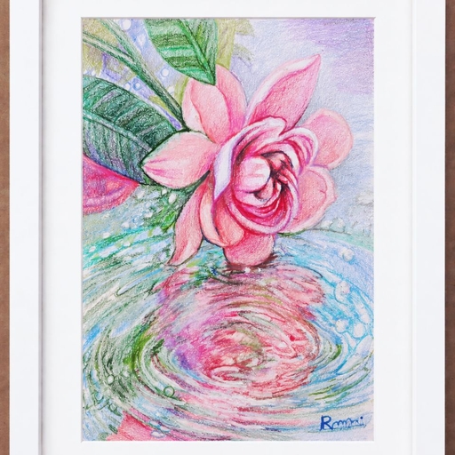 피드 이미지