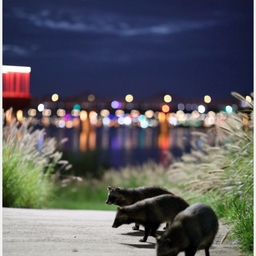 피드에 업로드 된 이미지