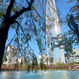 피드에 업로드 된 이미지