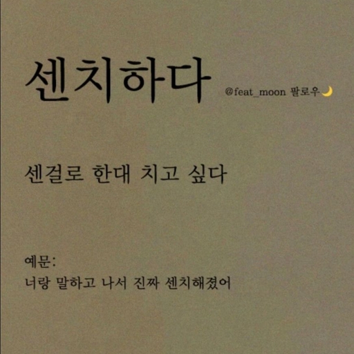 피드 이미지