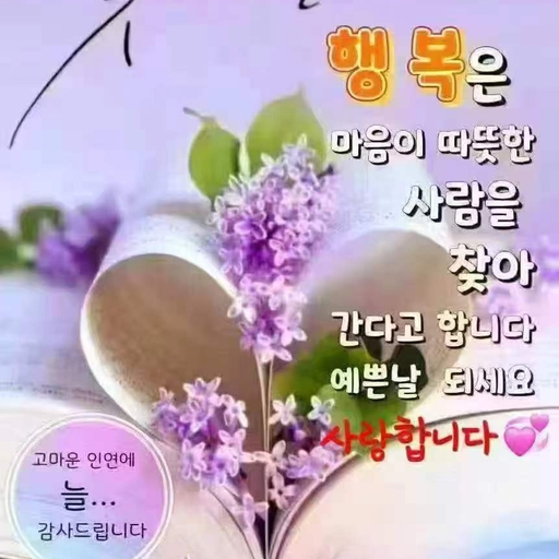 피드 이미지