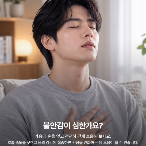 피드 이미지