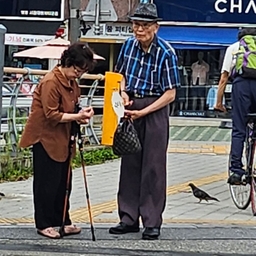 피드에 업로드 된 이미지