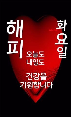 피드에 업로드 된 이미지