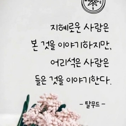 피드에 업로드 된 이미지