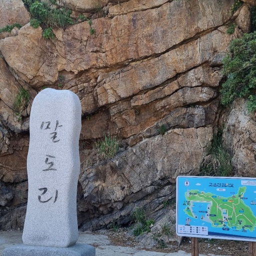 피드 이미지