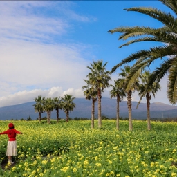 피드에 업로드 된 이미지