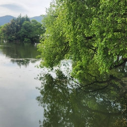 피드에 업로드 된 이미지