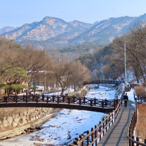 피드 이미지