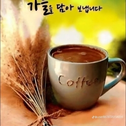 피드에 업로드 된 이미지