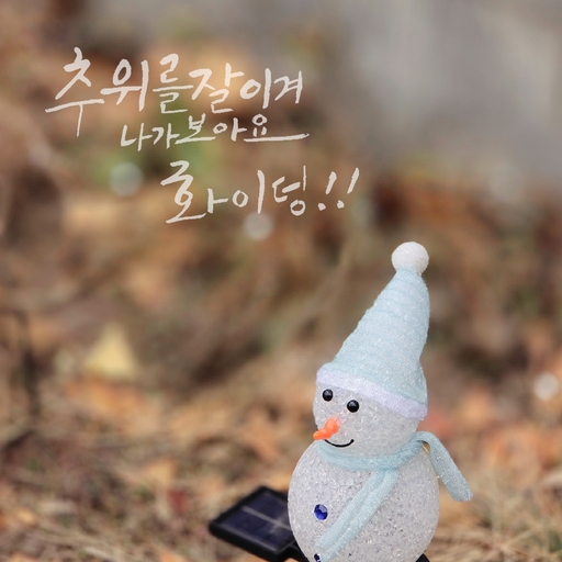 피드 이미지