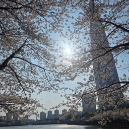 피드에 업로드 된 이미지