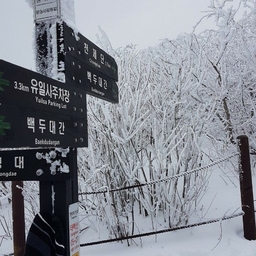 피드에 업로드 된 이미지