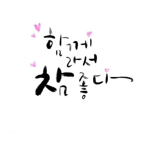 피드 이미지