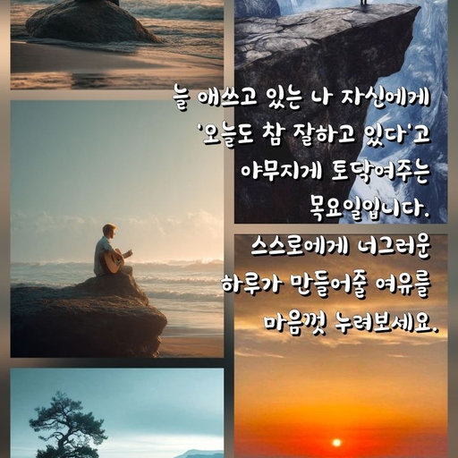 피드 이미지