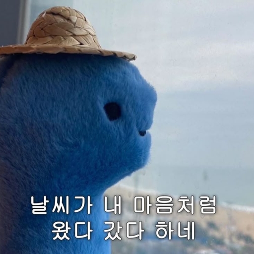 피드 이미지