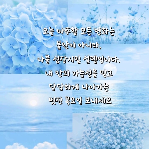 피드 이미지