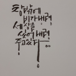 피드에 업로드 된 이미지