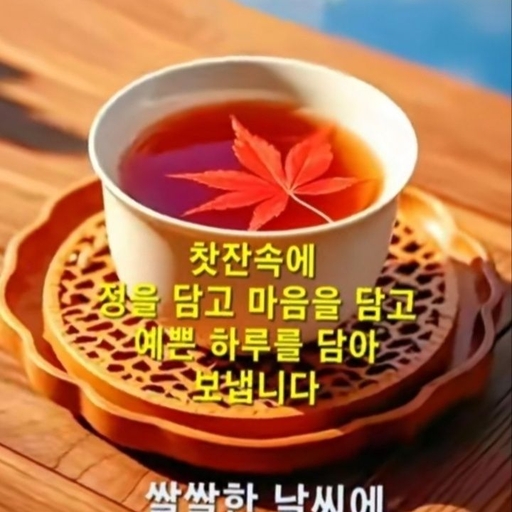 피드 이미지