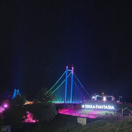 피드 이미지