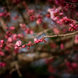 피드에 업로드 된 이미지