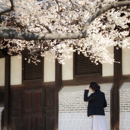 피드에 업로드 된 이미지