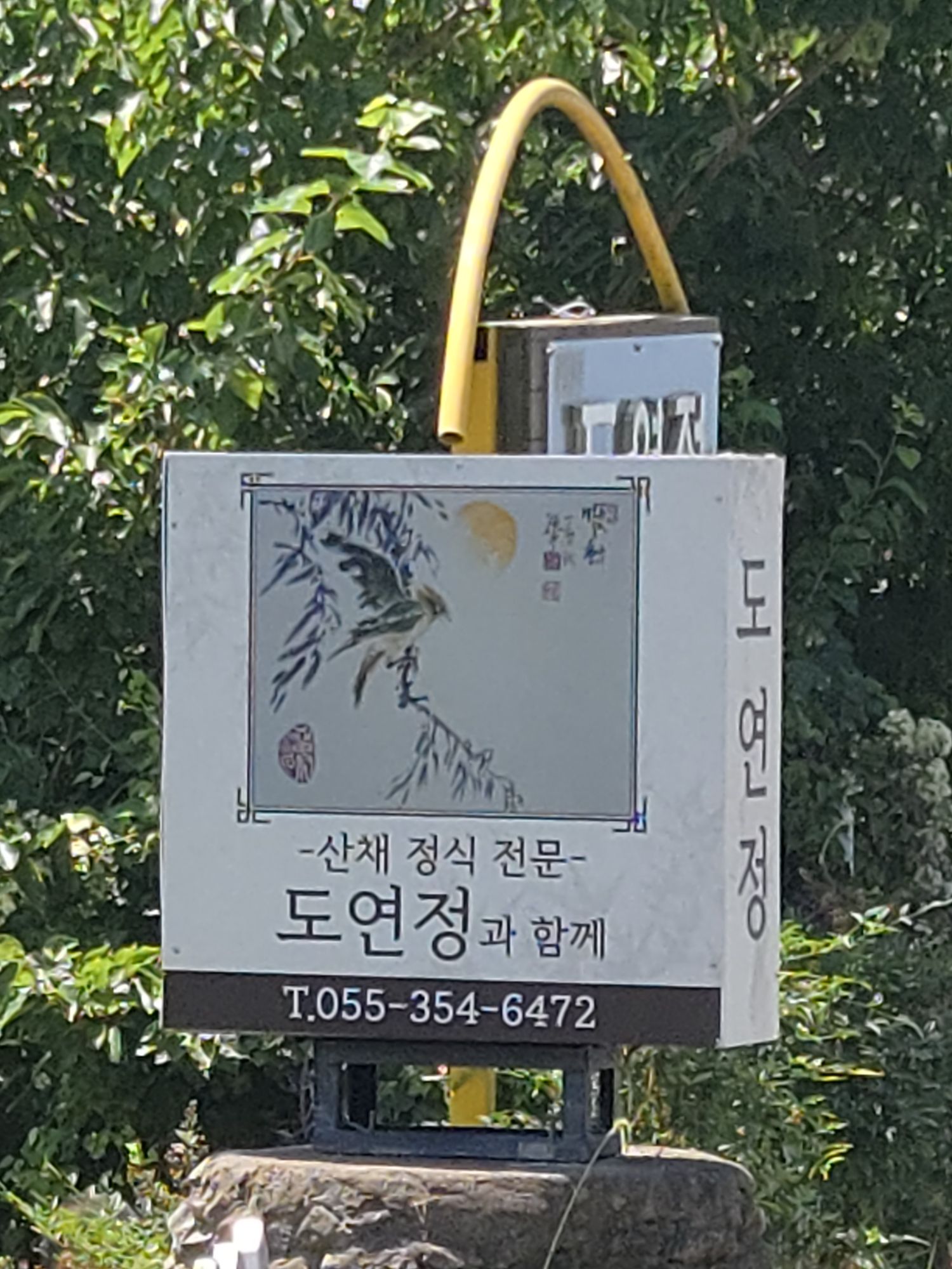 피드 이미지