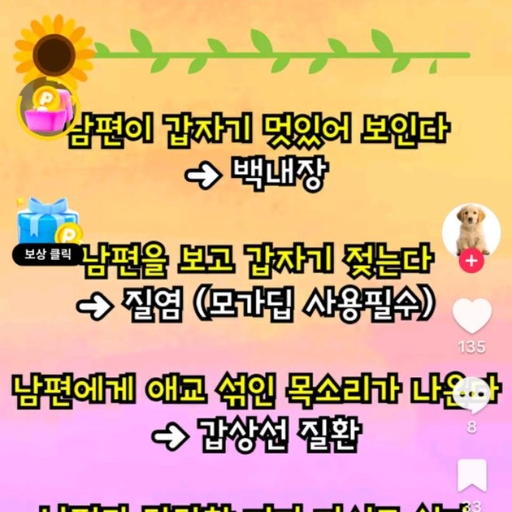 피드 이미지