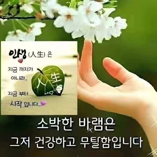 피드 이미지