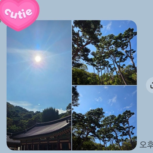 피드 이미지