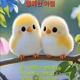 피드에 업로드 된 이미지