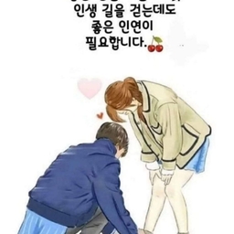 피드에 업로드 된 이미지