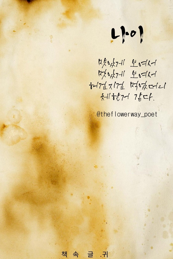 피드에 업로드 된 이미지