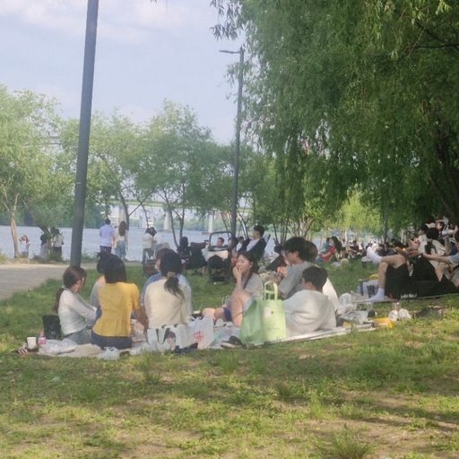 피드 이미지