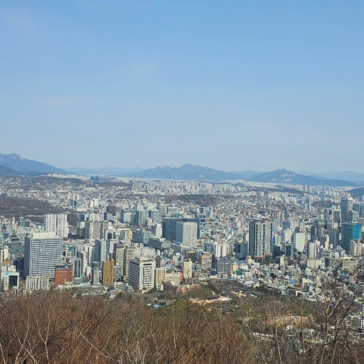 피드 이미지