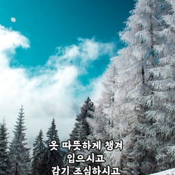 피드에 업로드 된 이미지