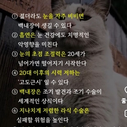 피드에 업로드 된 이미지