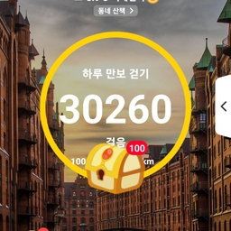 피드에 업로드 된 이미지