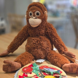 피드에 업로드 된 이미지