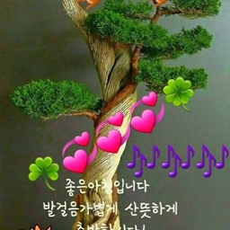 피드에 업로드 된 이미지
