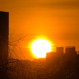 공지사항에 업로드 된 이미지